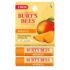 Burt’s Bees Mango Lip Balm 2-pack for natural tropical lip health care