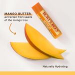 Burt's Bees Lip Balm Mango Butter 2-pack 0.15 oz each balm - Image 3