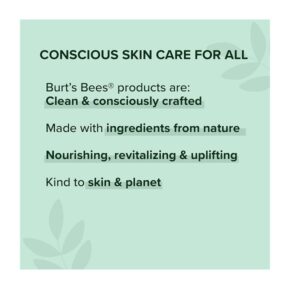 Burt's Bees 100 Natural Moisturizing Lip Balm, Watermelon, Dragonfruit Lemon, Original Beeswax and Vanilla Bean, Pack of 4, 4.25 Each - Image 4