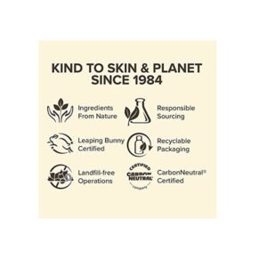 Burt's Bees Lip Balm, Moisturizing Lip Care, 100% Natural, Pomegranate with Beeswax & Fruit Extracts 0.15OZ 4.25g 2 Tube - Image 4