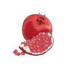 Burt's Bees Lip Balm, Moisturizing Lip Care, 100% Natural, Pomegranate with Beeswax & Fruit Extracts 0.15OZ 4.25g 2 Tube - Image 7