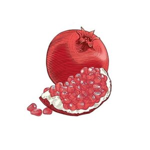 Burt's Bees Lip Balm, Moisturizing Lip Care, 100% Natural, Pomegranate with Beeswax & Fruit Extracts 0.15OZ 4.25g 2 Tube - Image 7