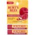 Burt s bees pomegranate lip balm 2 count blister box for natural health care