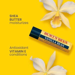 Burt's Bees Lip Balm Vanilla Be Size .15Z Burts Lip Balm Vanilla Bean .15Z - Image 2