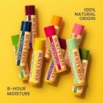 Burt's Bees Lip Balm Vanilla Be Size .15Z Burts Lip Balm Vanilla Bean .15Z - Image 7