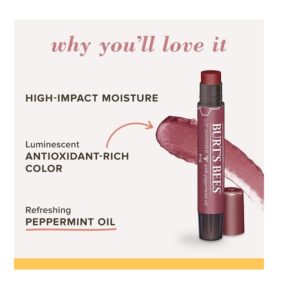 Burt's Bees Lip Shimmer, Fig (Pack of 4) - Image 3