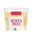 Burt's Bees Milk and Honey Body Lotion, 6 Ounces (Pack of 3) - Image 4