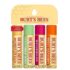Burt’s Bees lip balm 4 pack assorted flavors