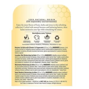 Burt's Bees Moisturizing Lip Care Beeswax, Cucumber Mint, Watermelon & Sweet Mandarin Lip Balm (4 Pack) - Image 2