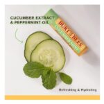Burt's Bees Moisturizing Lip Care Beeswax, Cucumber Mint, Watermelon & Sweet Mandarin Lip Balm (4 Pack) - Image 3