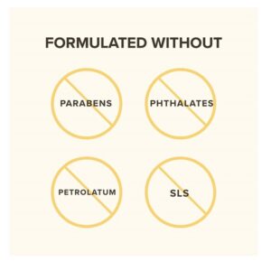 Burt's Bees Moisturizing Lip Care Beeswax, Cucumber Mint, Watermelon & Sweet Mandarin Lip Balm (4 Pack) - Image 8