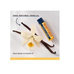 Burt's Bees Natural Moisturizing Lip Balm, (Original Beeswax, Strawberry, Coconut & Pear And Vanilla Bean) With Beeswax & Fruit Extracts 4 Tubes - Image 4