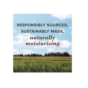 Burt's Bees Natural Moisturizing Lip Balm, (Original Beeswax, Strawberry, Coconut & Pear And Vanilla Bean) With Beeswax & Fruit Extracts 4 Tubes - Image 5