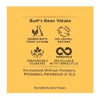 Burt's Bees Renewal Refining Cleanser, 6 oz - Image 5