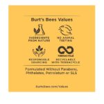 Burt's Bees Renewal Refining Cleanser, 6 oz - Image 6