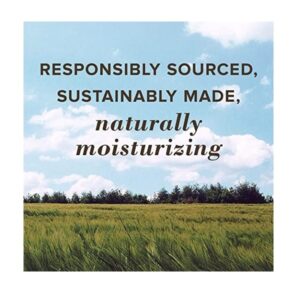 Burt's Bees Replenishing Lip Balm with Pomegranate Oil - Image 3