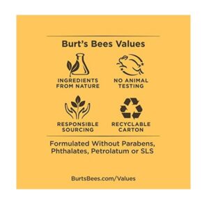 Burt's Bees Replenishing Lip Balm with Pomegranate Oil - Image 4