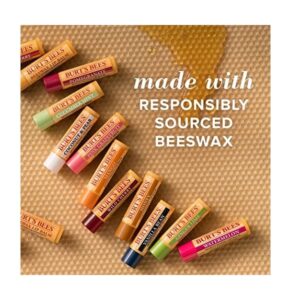 Burt's Bees Replenishing Lip Balm with Pomegranate Oil - Image 5