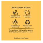 Burt's Bees Rescue Lip Balm Soothing Eucalyptus, 4.25g - Image 8