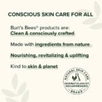 Burt's Bees Sensitive Daily Moisturizing Cream 1.8 Ounces - Image 4