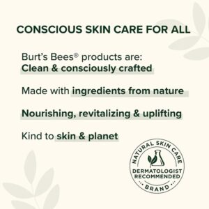 Burt's Bees Sensitive Daily Moisturizing Cream 1.8 Ounces - Image 4