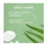 Burt's Bees Sensitive Facial Cleanser 6 Fluid Ounces, 170g - Image 3