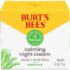 Burt's Bees Sensitive Night Cream 1.8 Ounces - Image 2