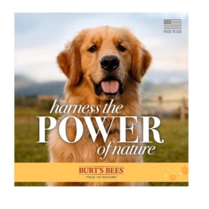 Burt's Bees Tearless 2 in 1 Shampoo and Conditioner for Puppies, 16 Ounces - Image 5