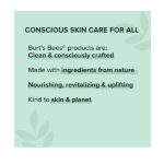 Burt's Bees Tinted Lip Balm - Rose 0.15 Ounce 2 Pcs - Image 5