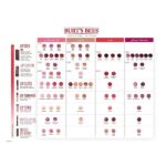 Burt's Bees Tinted Lip Balm Zinnia (0.15 Oz) - Image 4