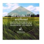 Burt's Bees for Dogs All-Natural Oatmeal Shampoo with Colloidal Oat Flour and Honey | Best Oatmeal Shampoo for All Dogs and Puppies with Itchy Skin, 16 Ounces - Image 6