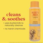 Burt's Bees for Dogs All-Natural Tearless Puppy Shampoo with Buttermilk | Best Tear-Free Shampoo For All Dogs and Puppies For Gentle Fur - Image 5