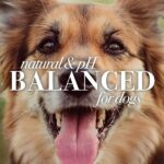 Burt's Bees for Dogs Multipurpose Wipes - Image 4