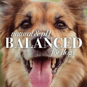 Burt's Bees for Dogs Multipurpose Wipes - Image 4