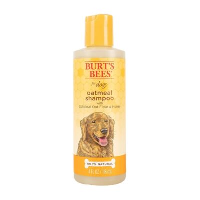 Burt's Bees for Dogs Natural Oatmeal Shampoo with Colloidal Oat Flour and Honey| Oatmeal Dog Shampoo, 4 Ounce Dog Shampoo to Soothe and Cleanse Dogs Skin and Coats