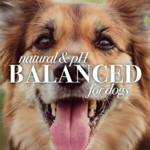 Burt's Bees for Pets Dogs Natural Eye Wash with Saline Solution | Eye Wash Drops for Dogs Or Puppies | Eliminate Dirt and Debris from Dog Eyes with Dog Eye Rinse, 4oz - Image 6