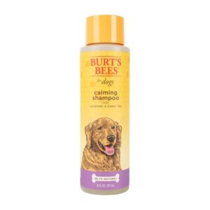 Burt's Bees for Pets Natural Calming Lavender Dog Shampoo with Green Tea, Anti-Itch and Allergy Relief, Includes Oatmeal for Soothing Comfort - Sulfate, Paraben Free, pH Balanced, 16 oz - Made in USA