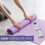 Curel Extra Dry Skin Therapy Body Lotion, Body and Hand Lotion, Hydra Silk Moisturizer, 12 Ounce, with Advanced Ceramide Complex, and Aloe Water - Image 3