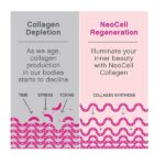 NeoCell Super Collagen Plus With Vitamin C and Hyaluronic Acid, For Skin Hydration and Healthy Skin, Hair and Nails Support, Unflavored, Collagen Powder, 6.9 oz., 1 Canister - Image 5