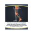 Dr. Scholls Pain Relief Orthotics for Arthritis Pain for Women, 1 Pair, Size 6-10 - Image 5