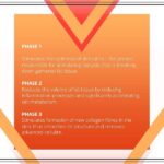 Eveline Cosmetics Slim Extreme 4D Liposuction Body Serum, 8.45 - Image 4