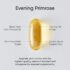 Evening Primrose Oil (1300mg) from Cold-Pressed Evening Primrose Flower | Non-GMO Verified, Hexane & Gluten Free (30 Liquid Softgels) - Image 6