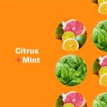 Everyone 3-In-1 Soap, Citrus plus Mint, 32 oz, 2 Count - Image 3