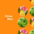 Everyone 3-In-1 Soap, Citrus plus Mint, 32 oz, 2 Count - Image 3