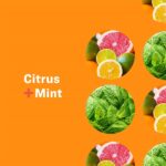 Everyone 3-in-1 Soap, Citrus plus Mint, 32 Ounce - Image 3