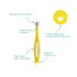 FridaBaby Triple-Angle Toothhugger Training Toothbrush for Toddler Oral Care, Yellow - Image 2