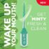 GUM Soft-Picks Comfort Flex Mint Dental Picks, New Invigorating Mint Flavor, 80 Count - Image 3