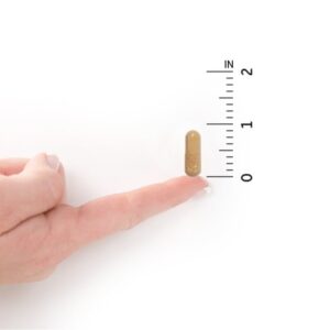 Garden Of Life - Raw Probiotics Vaginal Care 50 Billion Cfu 30 Vegetarian 181796 - Image 5