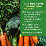 Garden Of Life Dr. Formulated Enzymes Organic Digest Plus, 90 Count - Image 2