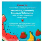 Garden of Life, Dr. Formulated Probiotics, Organic Kids+, Probiotics + Vitamins C & D, 5 Billion, Tasty Organic Watermelon, 30 Yummy Chewables - Image 4